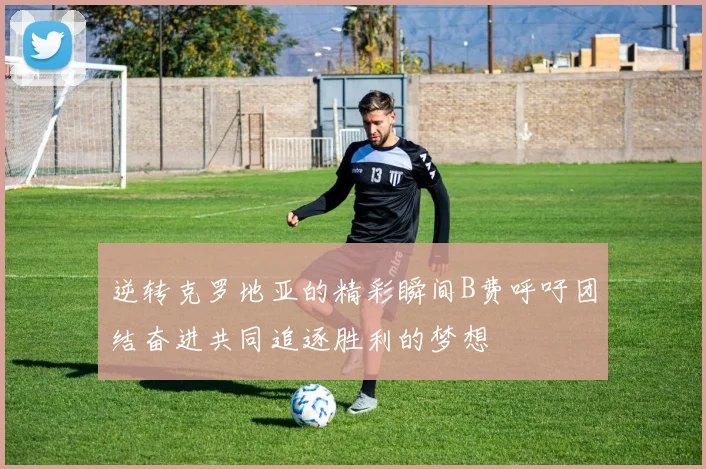 逆转克罗地亚的精彩瞬间B费呼吁团结奋进共同追逐胜利的梦想