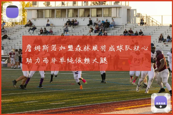 詹姆斯若加盟森林狼将成球队核心助力而非单纯依赖大腿